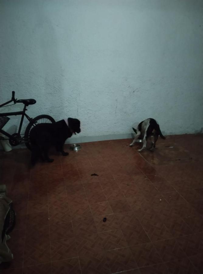 Mini Hostal Cultural De Mazatlan Dış mekan fotoğraf